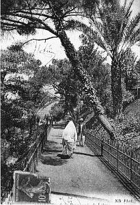 PL a- 028- Promenade de Letang A